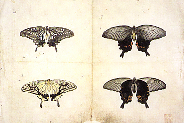 「写生図」（部分）