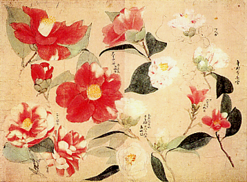 重要文化財　「写生図」（部分）