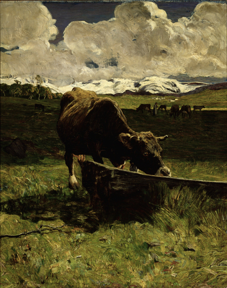 水飲み場のアルプスの雌牛