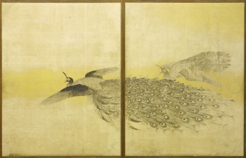 描かれた動物たち―近世写生画―