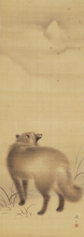 寒月狸図