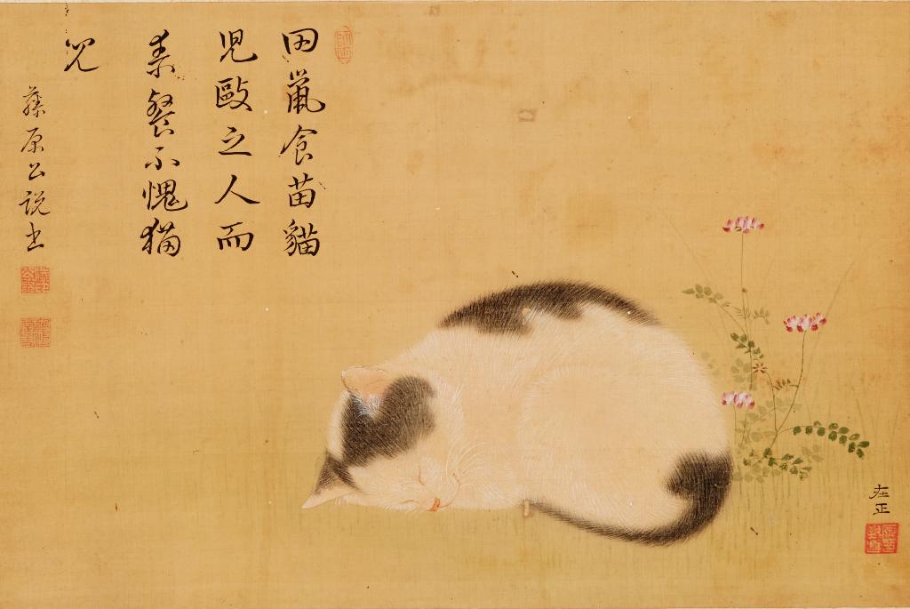 猫図（ねこず）