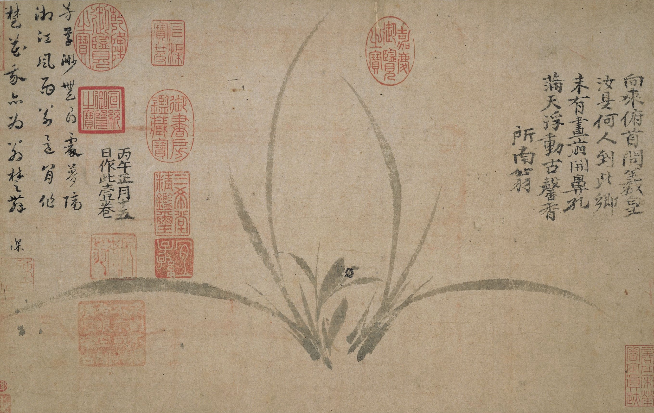 鄭思肖　墨蘭図