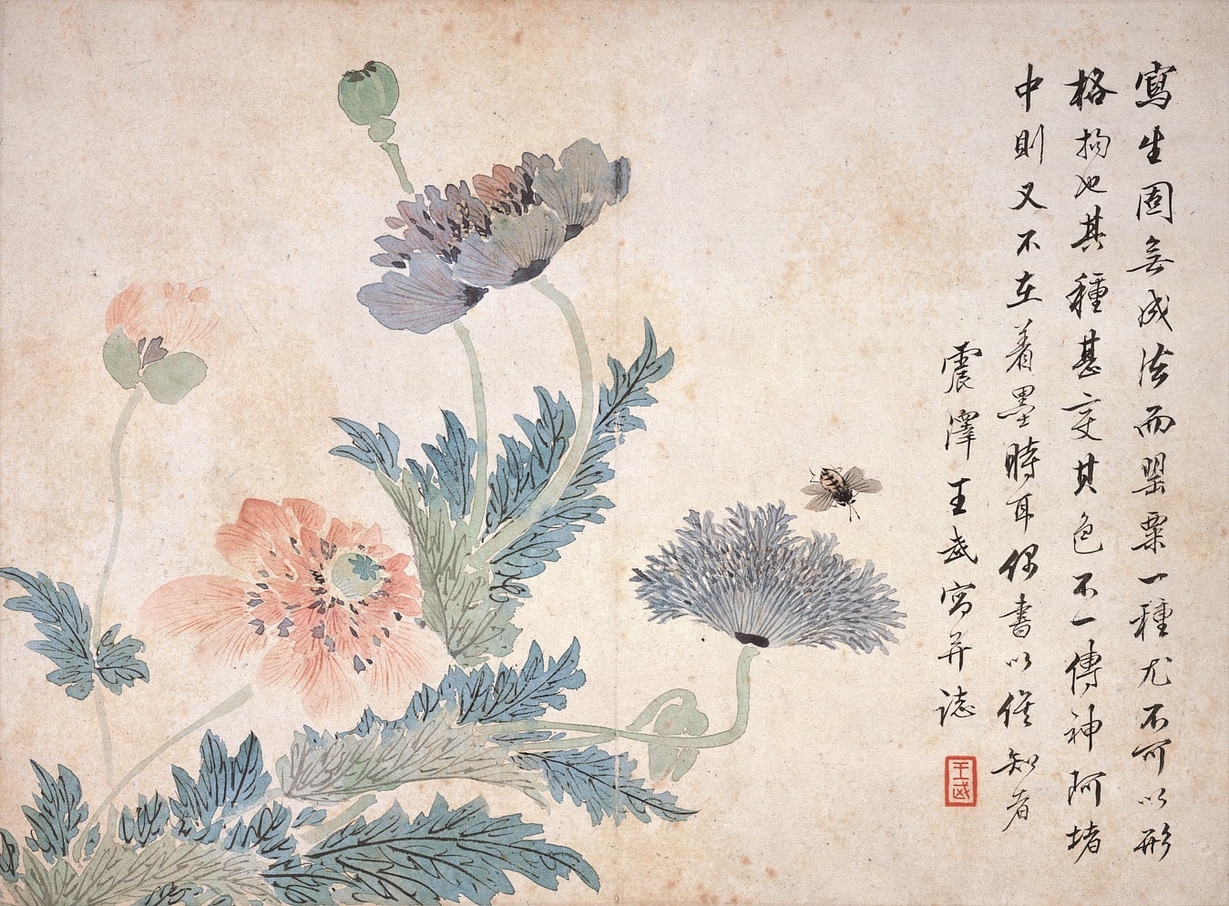 花香鳥語－中国明清の絵画－